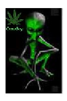 green boys